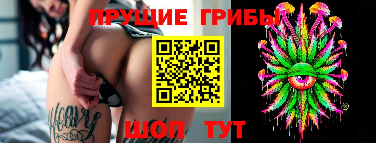 Анжеро-Судженск  где найти   Вход с VPN  Псилоцибиновые грибы Cubensis 