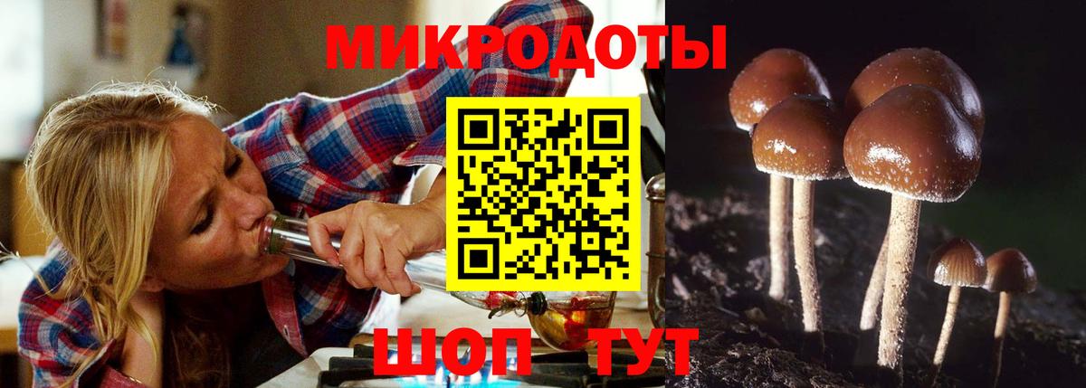 Галлюциногенные грибы прущие грибы Анжеро-Судженск